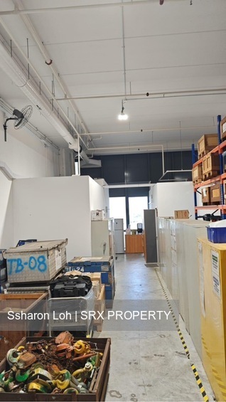 REVV (D22), Factory #634731981